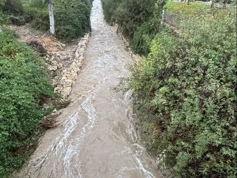 נחל רפאים פארק ירושלים, 11 בדצמבר 2025