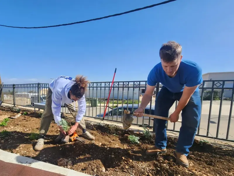 מתנדבים עוזרים בשכונה החדשה, מנרה, 26 בינואר 2026