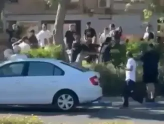 אלימות