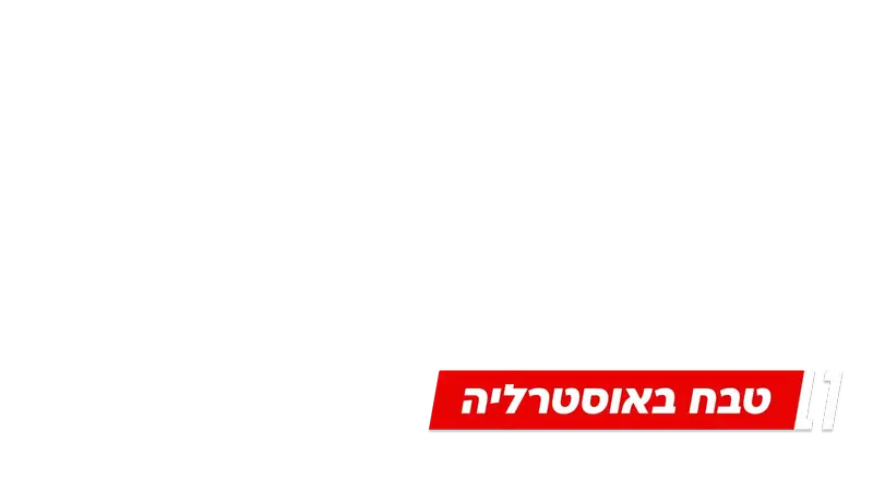 כותרת משנה