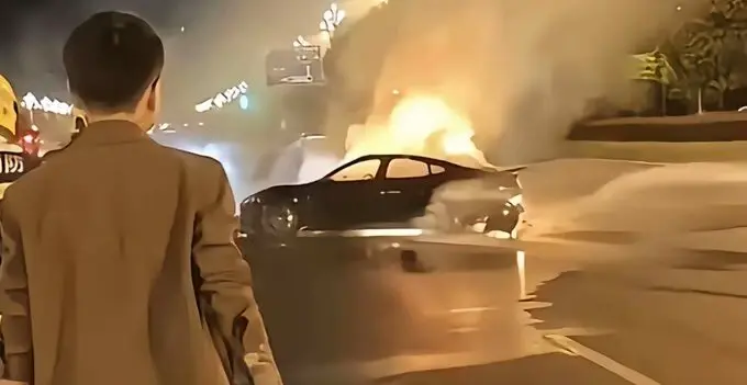 ריקול ענק: ידיות דלתות מוסתרות בסכנה